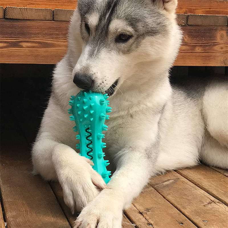 Pet Products