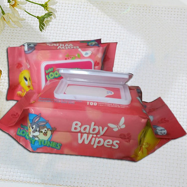 Dishs bag baby and children's household cleaning and care wipes - Georgenest.com