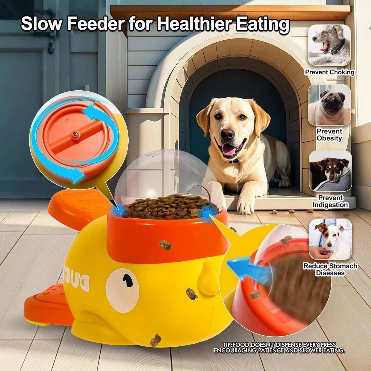 Pet Snack Feeder – Automatic Dog & Cat Food Dispenser for Training pet