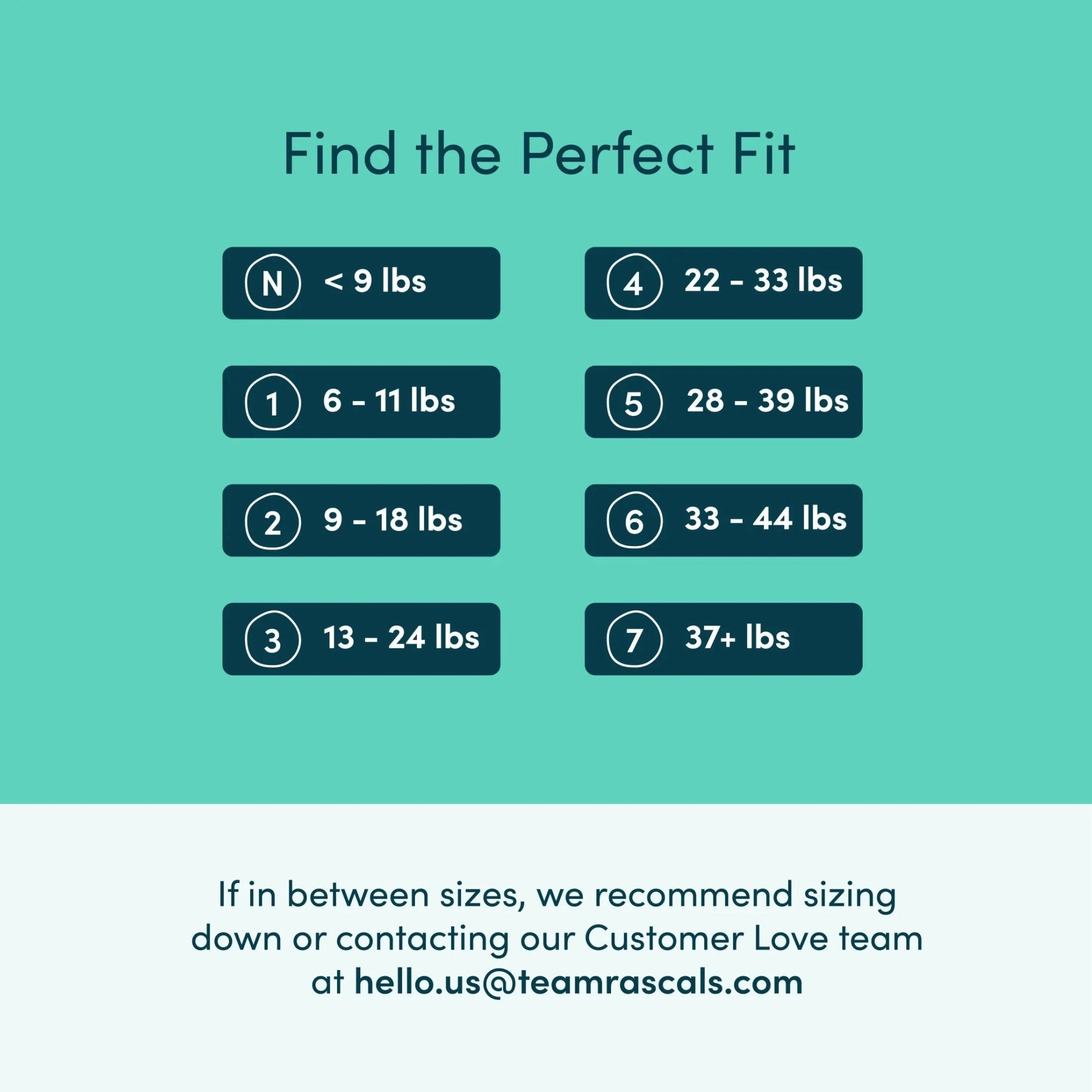 Premium Absorbent Baby Diapers Size 1, 38 Count - Georgenest.com