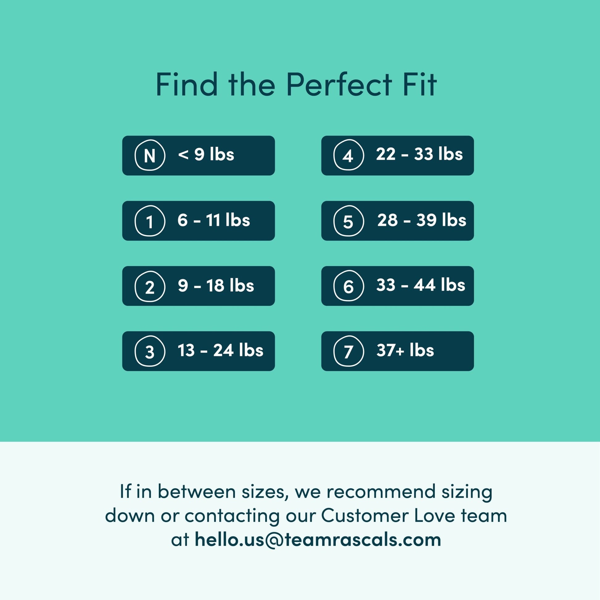 Premium Absorbent Baby Diapers Size 5, 64 Count - Georgenest.com